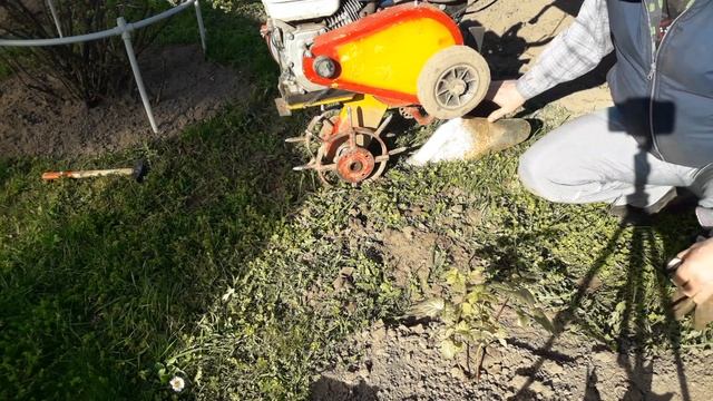 Мотокультиватор лучший помощник на даче! Motor Cultivator Work!Spring 2023