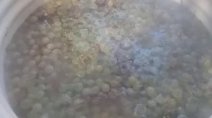 Самый простой рецепт виноградного сока пастеризованного