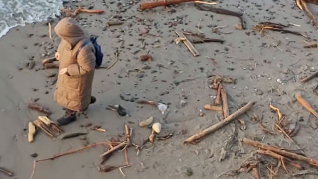 Берег Балтийского моря просле штормов в Зеленоградске смотреть онлайн