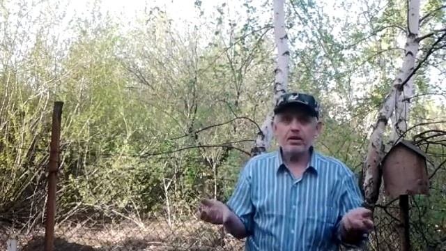 Как я определяю время для посадки картофеля.