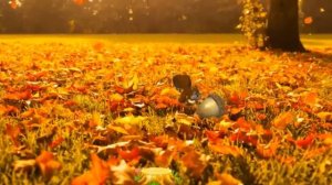 Ах осень,осень,золотая осень.Ah autumn, autumn, golden autumn.