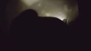 Жизнь - это не кино. Реальные истории спасения: пожар в д.Малые Зимовищи