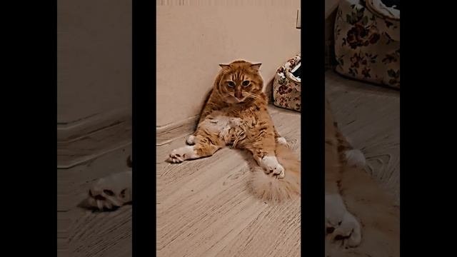 как вам