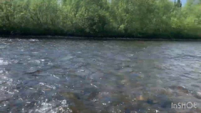 Рыбалка на севере Пермского края. Хариус смотреть онлайн