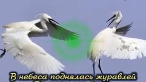 Журавли-христианская песня