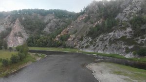 Лесной Участок: подробная инструкция Как оформить большой участок в лесу. Аренда лесного участка