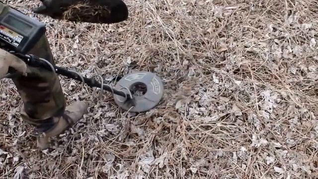 Кладоискательство с металлоискателем в Мордовии и Ульяновской области