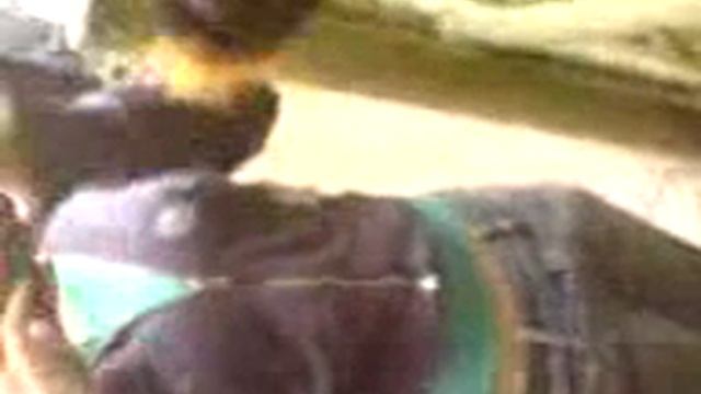 lemurs steal my banana смотреть онлайн