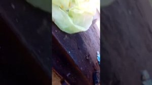 Рено трафик 1.9 замена масла и фильтра