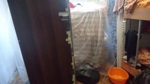Как избавиться от клопов в одежде. В домашних условиях без химии