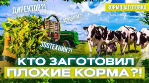 Кто заготовил плохие корма?