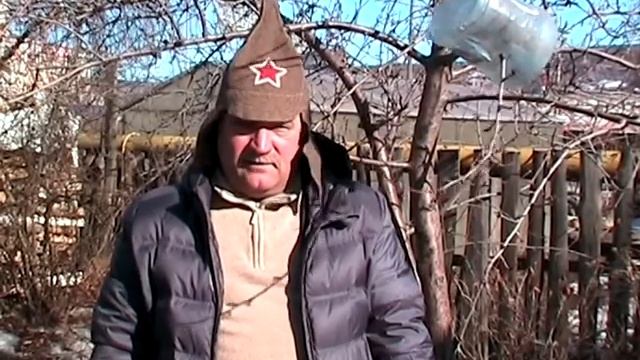 Сенсация!! Эффективнейший способ клонирования деревьев от Виктора Коваля!