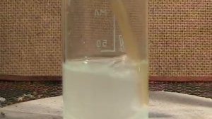 Пропускание SO2 в известковую воду