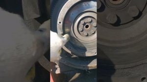 Замена сцепления на донгфенг 244.