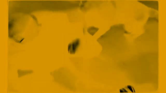 DARK POLO GANG - DIEGO ARMANDO MARADONA (JUSTCRUNCHIT REMIX)