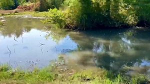 Источник и пляж села Бабушера. Шок и восторг. Абхазия.