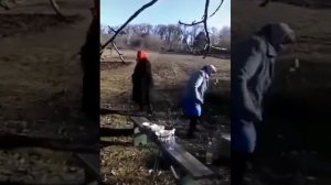 Разгулялись нынче девки...