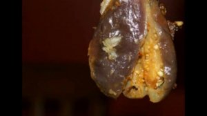 Баклажаны квашеные фаршированные на зиму