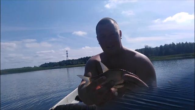 Рыбалка на озере СЕЛИГЕР! Ловим лещей, густеру, плотву. смотреть онлайн