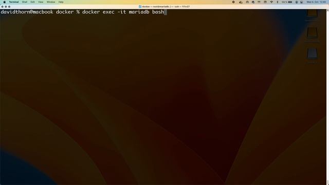 How to Install & Configure Remote Access to MySQL in Docker using MariaDB смотреть онлайн