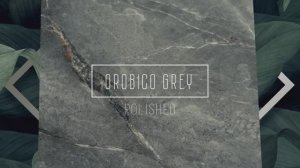 NEODOM Orobico Grey Polished 60x120