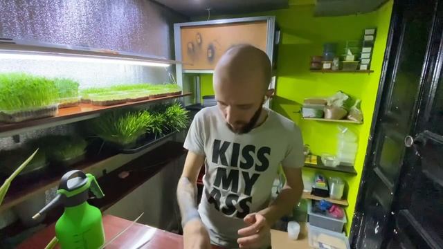 #Топ 2 съедобных цветов. Самые #доступные #семена