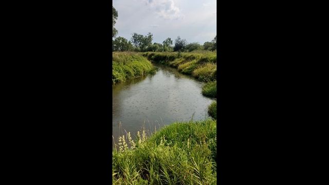 Светлая башня