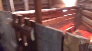 КАК ПОСТРОИТЬ СТАЙКУ ДЛЯ СВИНОМАТОК🐷 Наш опыт🐷