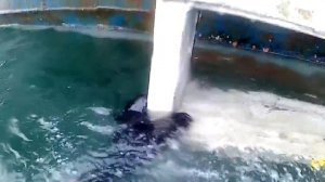 Магадан подъем затонувших кораблей заключительная часть