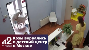Козы ворвались в детский центр в Москве