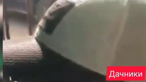 Самая самая веселая песня на свете.