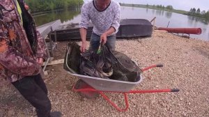 МЕГА УЛОВЫ ПО ОСЕТРУ В КОКИНО!