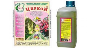 Как восстановить тую после зимы. Туя Смарагд.