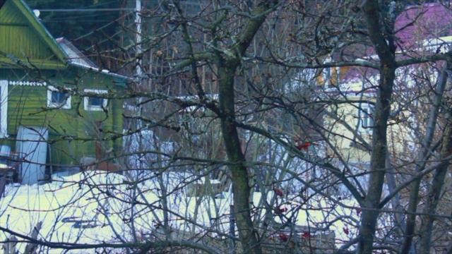 Солнце играет в Рахье смотреть онлайн