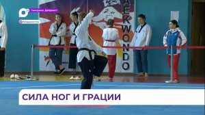 Чемпионат и первенство Приморья по тхэквондо завершились во Владивостоке