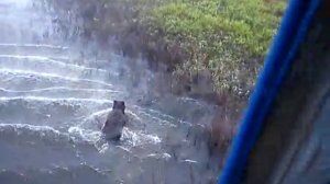 Река Большая Хета (Красноярский край)