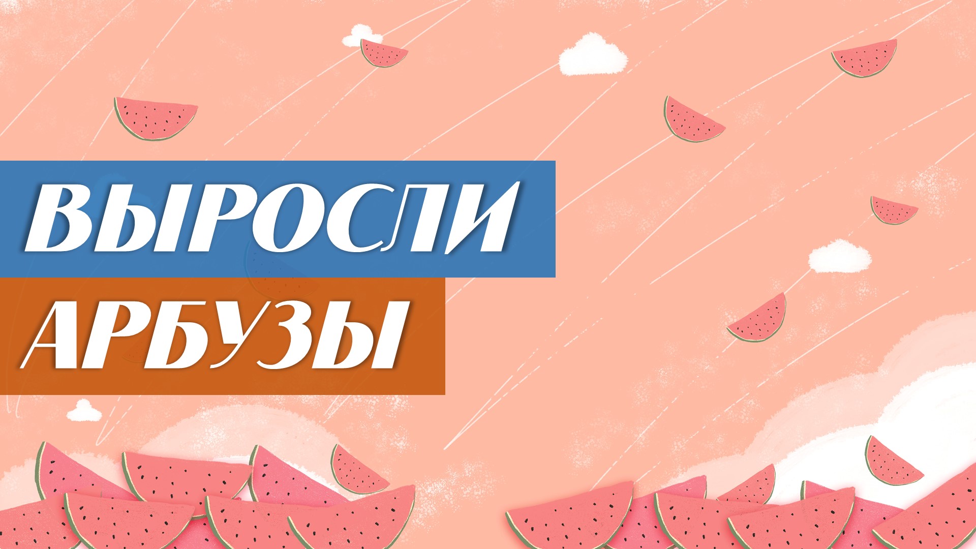 Выращивание арбузов на своем участке