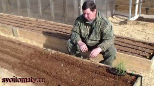 Выращивание лука-порея