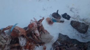 Рыбалка магадан