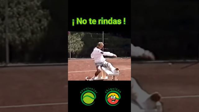 Thomas Muster extenista. Ex número 1 ATPCon 422 victorias en canchas de arcilla, incluyendo un títu