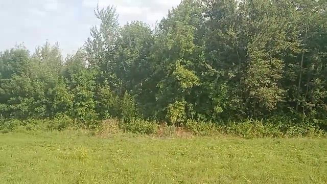 Поездка на поезде Витебск-Полоцк до станции Лётцы смотреть онлайн