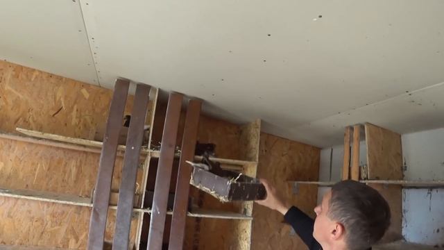 Подкормка птенцов голубей и первый полёт молодняка смотреть онлайн