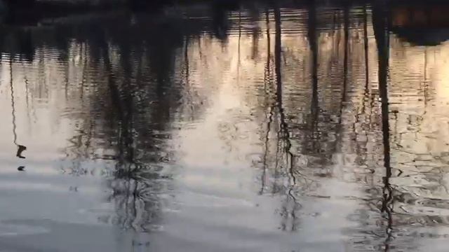 Ловля форели на пасту. РК Фишка Липки. смотреть онлайн