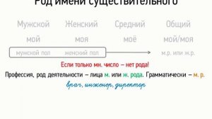 Род имени существительного (6 класс, видеоурок-презентация)