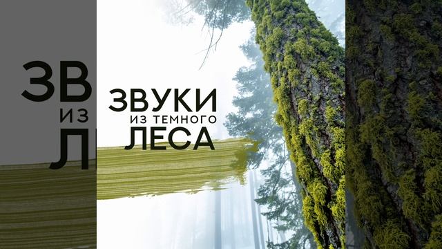 Для снятия стресса