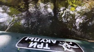 #ЗАМКАДЫШ ?✔??На древней реке НЕПРЯДВА❗❗❗/??Рыбалка на поисковый магнит и не только/чистим реку