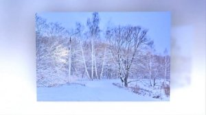 Зимний парк Киреевск