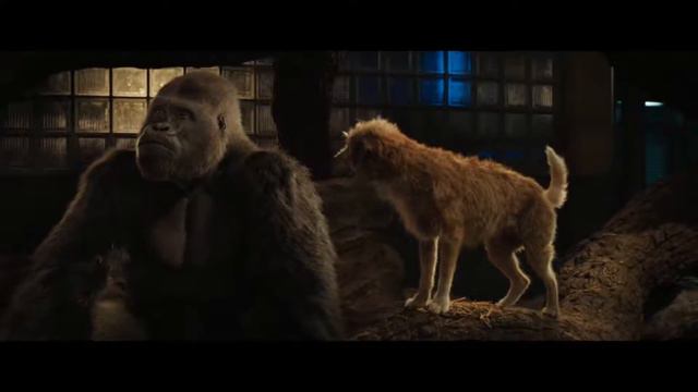 The One and Only Ivan (Айван, единственный и неповторимый) (Трейлер\Trailer) смотреть онлайн