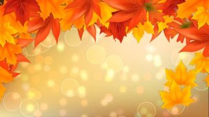 Осенний футаж фон - осенние листья, блестки, сердечки, боке - футаж для видео монтажа.