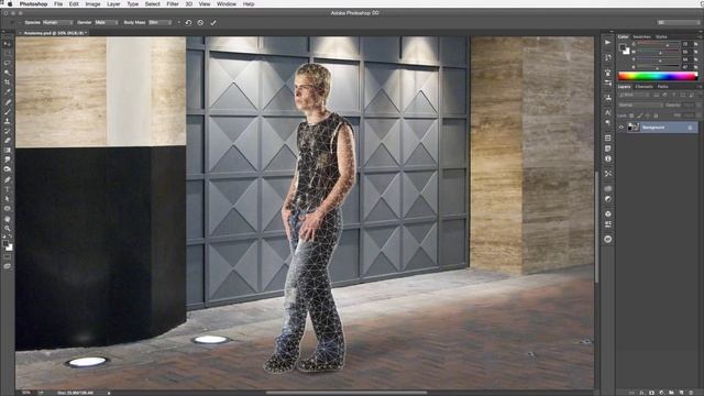 Phuture Photoshop: Anatomy Warp смотреть онлайн